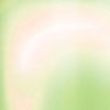 P 0005